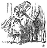 Alice in Wonderland and Through the Looking Glass Lewis Carroll and Illustrations