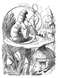 Advice From A Caterpillar Alice S Adventures In Wonderland By